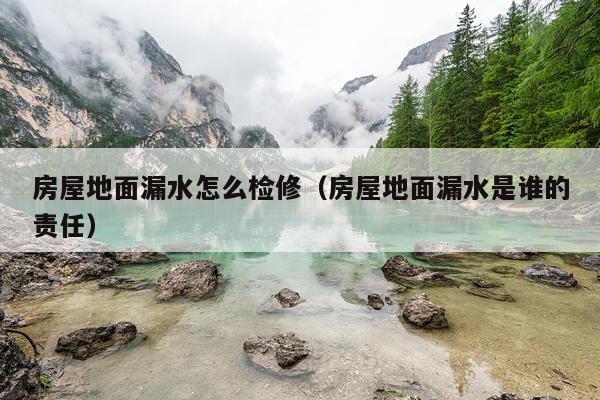 房屋地面漏水怎么检修(房屋地面漏水是谁的责任)