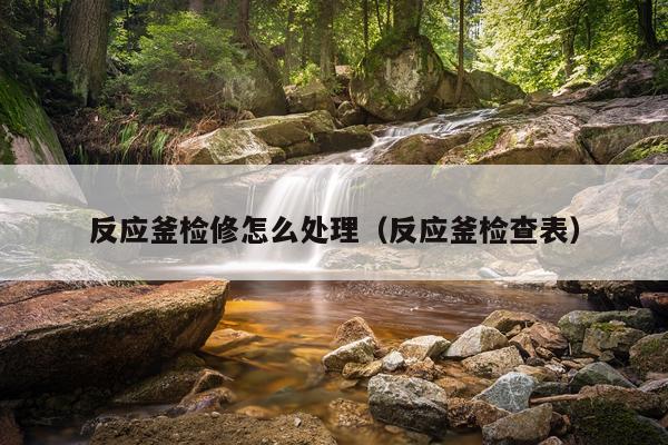 反应釜检修怎么处理(反应釜检查表)