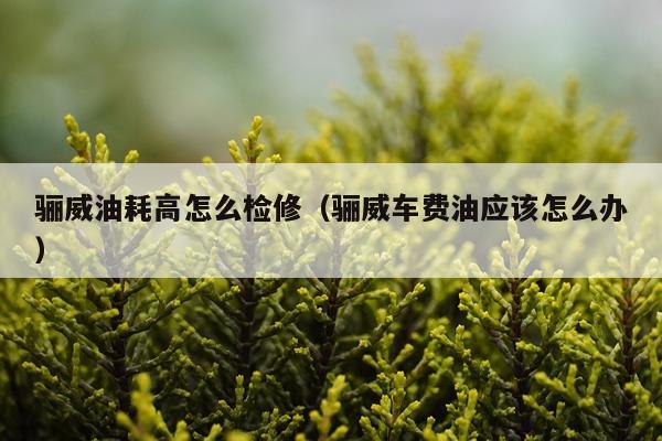 骊威油耗高怎么检修（骊威车费油应该怎么办）
