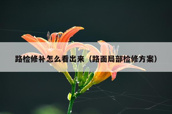 路检修补怎么看出来（路面局部检修方案）