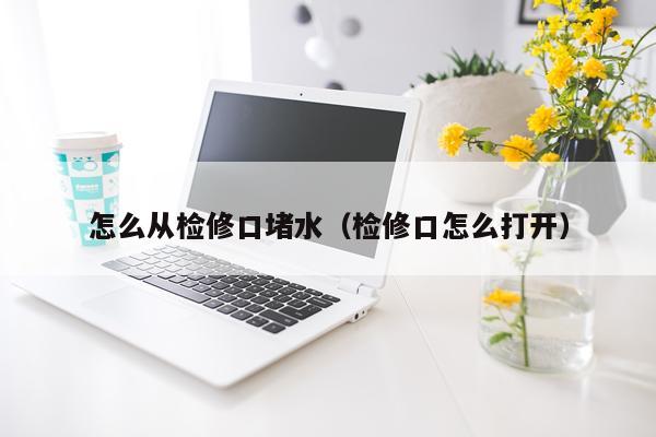 怎么从检修口堵水（检修口怎么打开）