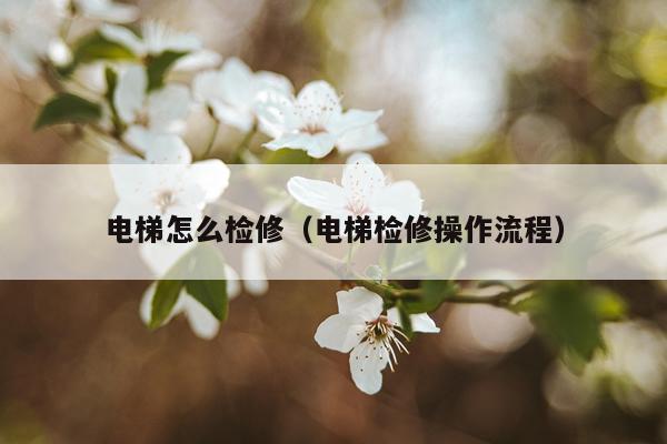 电梯怎么检修（电梯检修操作流程）