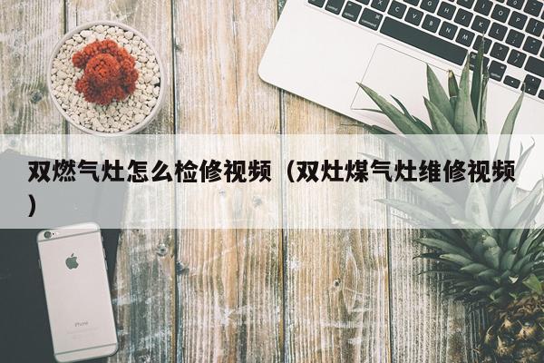 双燃气灶怎么检修视频（双灶煤气灶维修视频）
