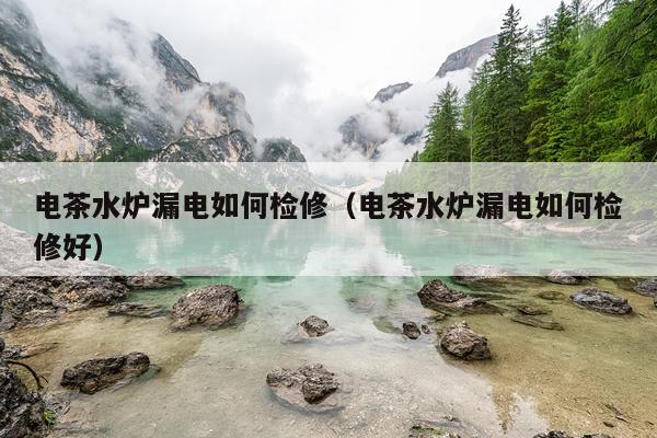 电茶水炉漏电如何检修（电茶水炉漏电如何检修好）