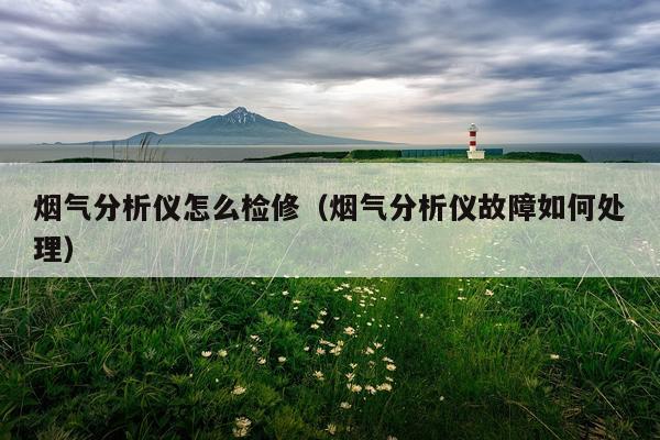 烟气分析仪怎么检修（烟气分析仪故障如何处理）