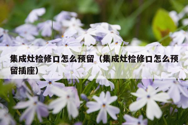 集成灶检修口怎么预留(集成灶检修口怎么预留插座)