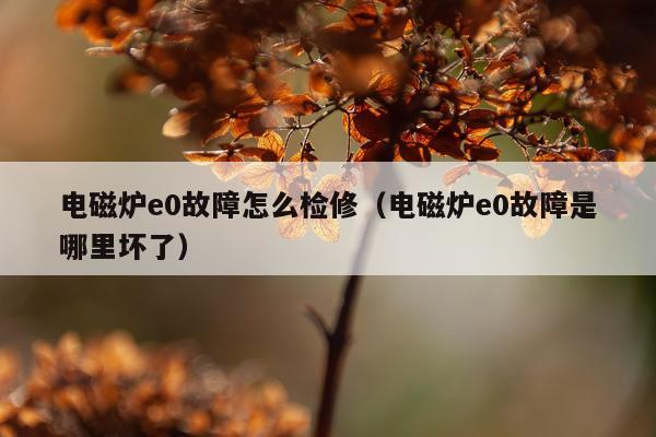 电磁炉e0故障怎么检修（电磁炉e0故障是哪里坏了）