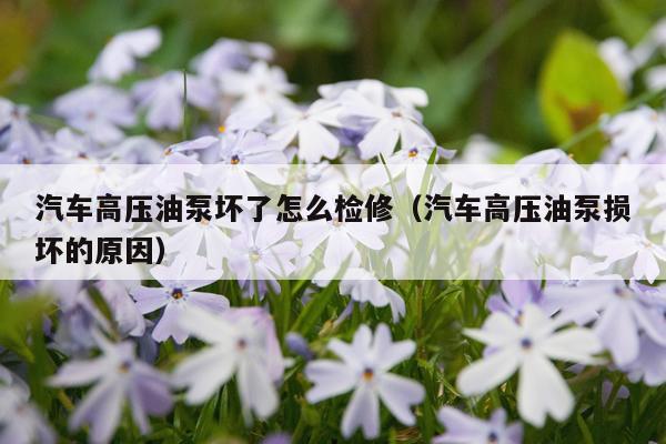 汽车高压油泵坏了怎么检修（汽车高压油泵损坏的原因）