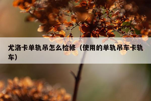 尤洛卡单轨吊怎么检修（使用的单轨吊车卡轨车）