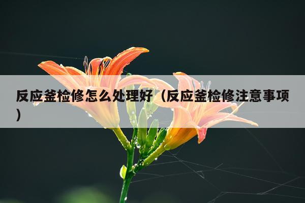 反应釜检修怎么处理好（反应釜检修注意事项）