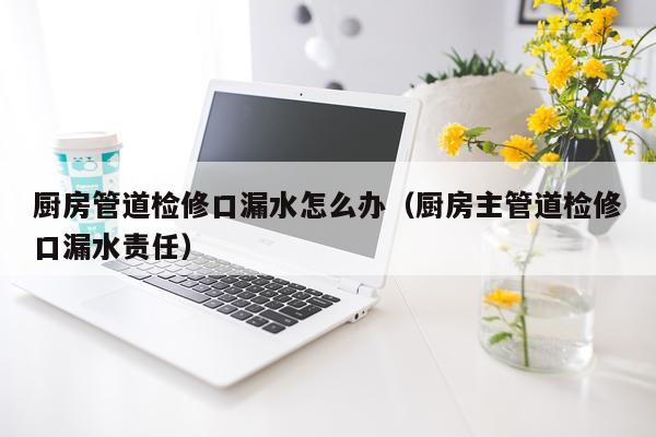 厨房管道检修口漏水怎么办（厨房主管道检修口漏水责任）