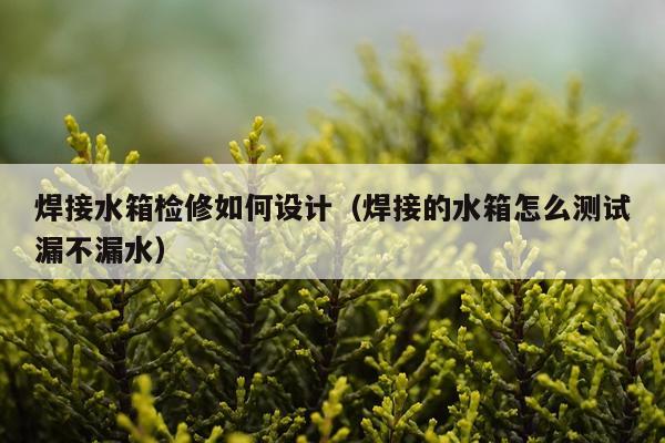 焊接水箱检修如何设计（焊接的水箱怎么测试漏不漏水）