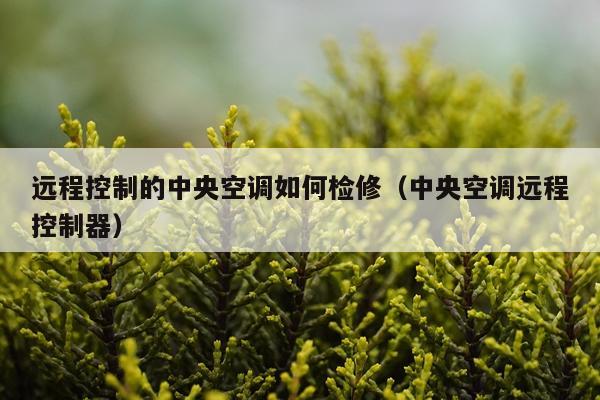 远程控制的中央空调如何检修（中央空调远程控制器）