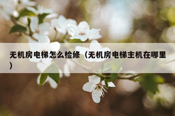 无机房电梯怎么检修（无机房电梯主机在哪里）