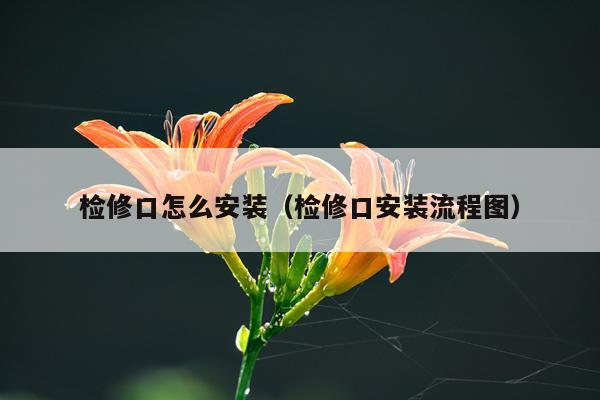 检修口怎么安装（检修口安装流程图）