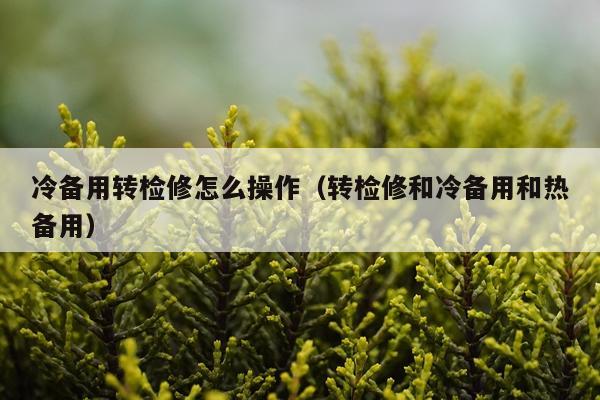 冷备用转检修怎么操作（转检修和冷备用和热备用）