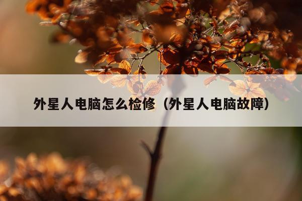 外星人电脑怎么检修（外星人电脑故障）