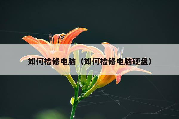 如何检修电脑（如何检修电脑硬盘）