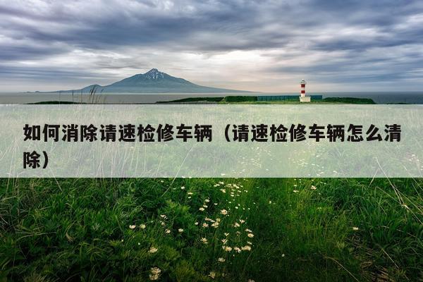 如何消除请速检修车辆（请速检修车辆怎么清除）
