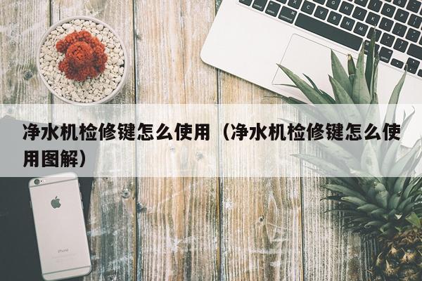 净水机检修键怎么使用（净水机检修键怎么使用图解）