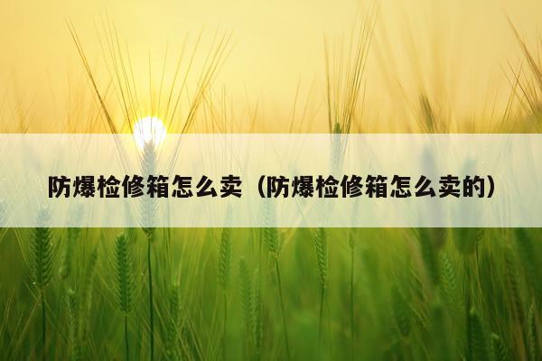 防爆检修箱怎么卖（防爆检修箱怎么卖的）