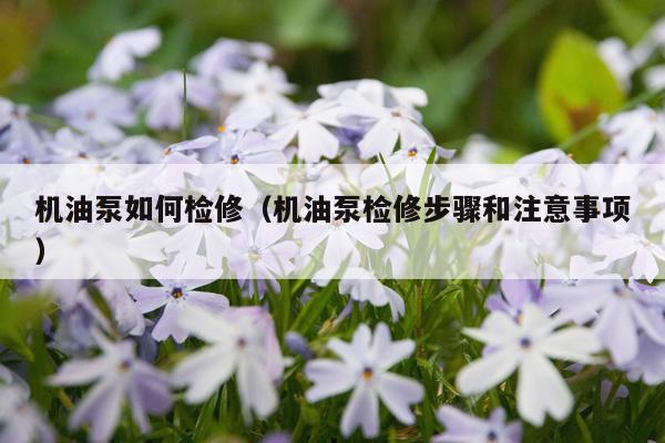 机油泵如何检修（机油泵检修步骤和注意事项）
