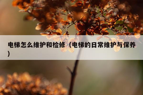 电梯怎么维护和检修（电梯的日常维护与保养）
