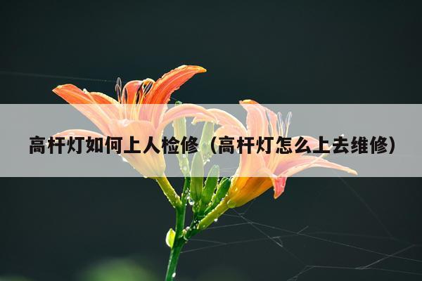 高杆灯如何上人检修（高杆灯怎么上去维修）