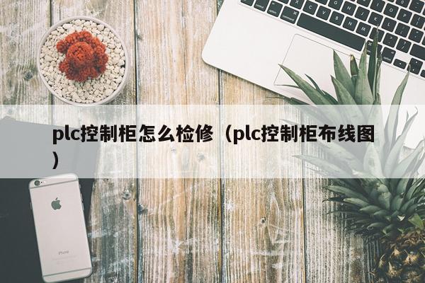plc控制柜怎么检修（plc控制柜布线图）
