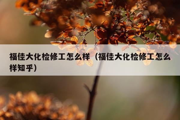 福佳大化检修工怎么样（福佳大化检修工怎么样知乎）