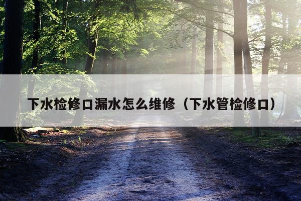 下水检修口漏水怎么维修（下水管检修口）