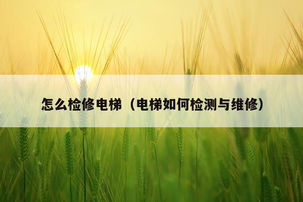 怎么检修电梯（电梯如何检测与维修）