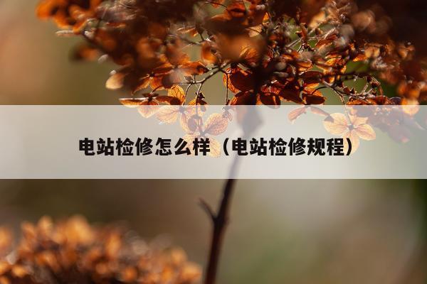 电站检修怎么样（电站检修规程）