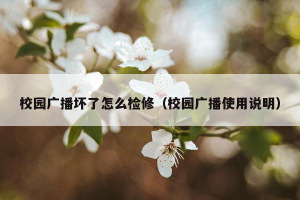 校园广播坏了怎么检修（校园广播使用说明）