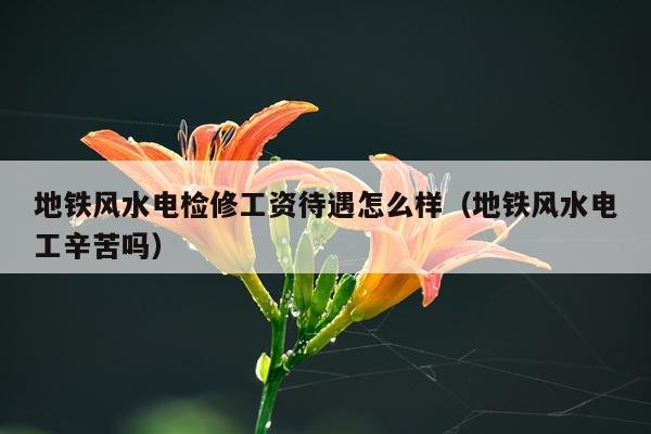 地铁风水电检修工资待遇怎么样（地铁风水电工辛苦吗）