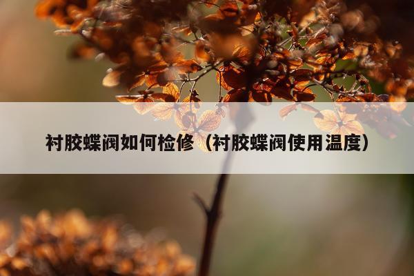 衬胶蝶阀如何检修（衬胶蝶阀使用温度）