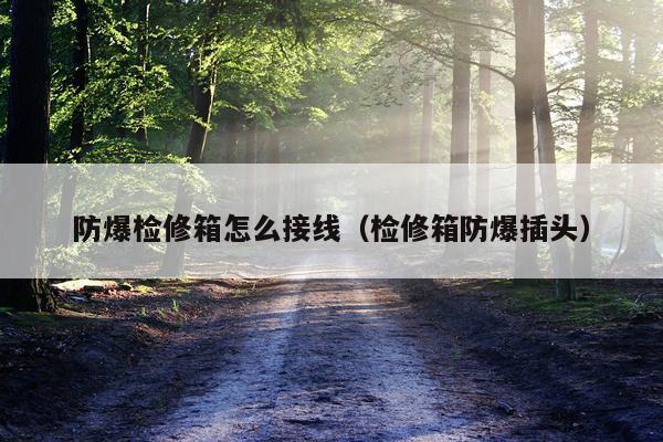 防爆检修箱怎么接线（检修箱防爆插头）