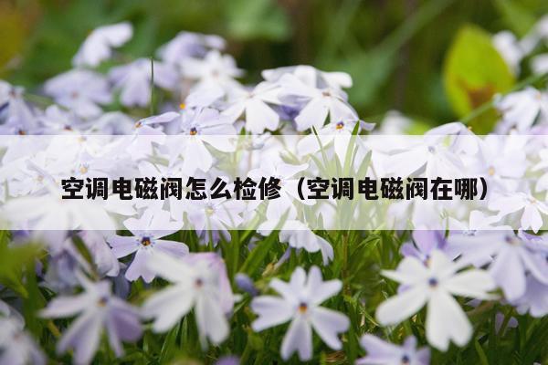 空调电磁阀怎么检修（空调电磁阀在哪）