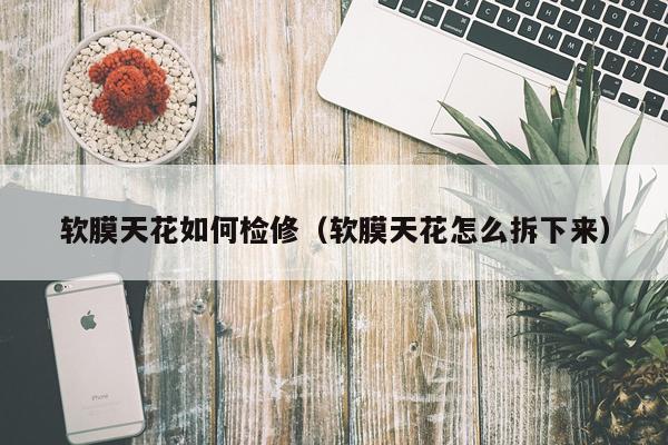 软膜天花如何检修（软膜天花怎么拆下来）