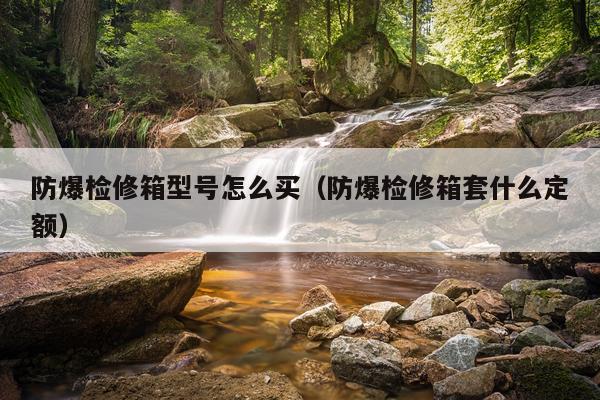 防爆检修箱型号怎么买（防爆检修箱套什么定额）