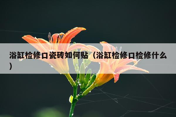 浴缸检修口瓷砖如何贴（浴缸检修口检修什么）