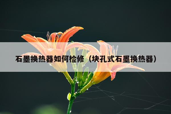 石墨换热器如何检修（块孔式石墨换热器）