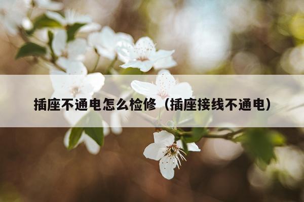 插座不通电怎么检修（插座接线不通电）
