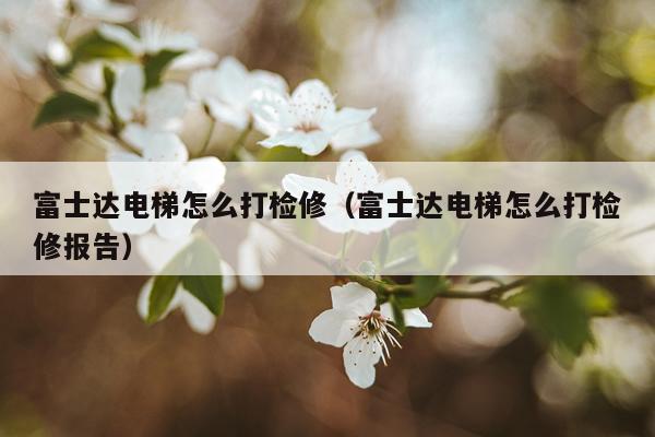 富士达电梯怎么打检修（富士达电梯怎么打检修报告）