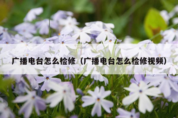 广播电台怎么检修（广播电台怎么检修视频）