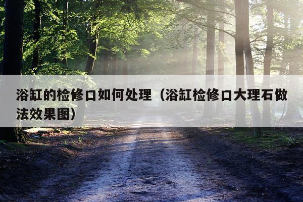 浴缸的检修口如何处理（浴缸检修口大理石做法效果图）
