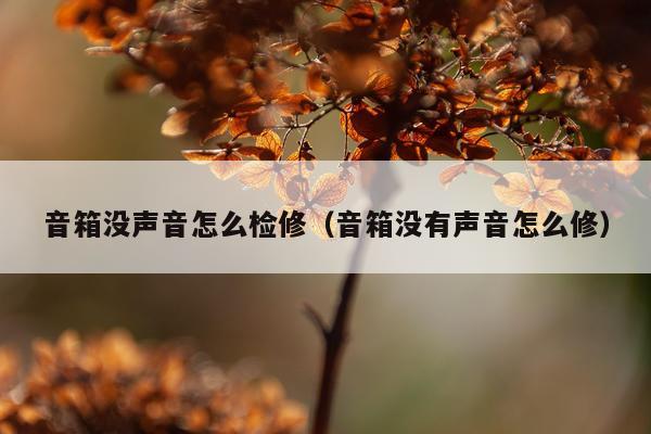 音箱没声音怎么检修（音箱没有声音怎么修）