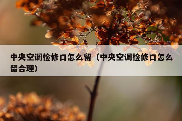 中央空调检修口怎么留（中央空调检修口怎么留合理）