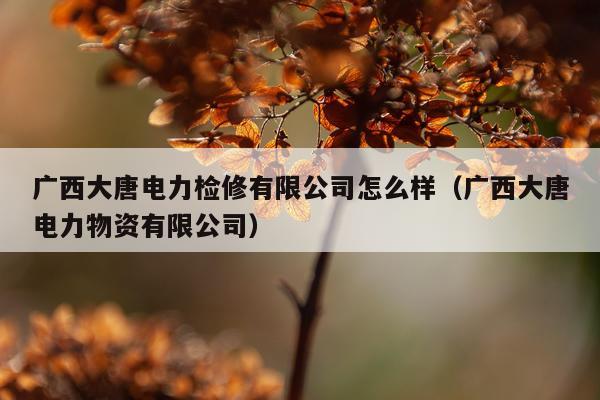 广西大唐电力检修有限公司怎么样（广西大唐电力物资有限公司）