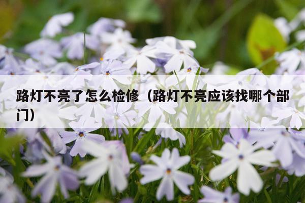 路灯不亮了怎么检修（路灯不亮应该找哪个部门）